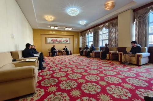 桐城市市长王静莅临公司调研指导