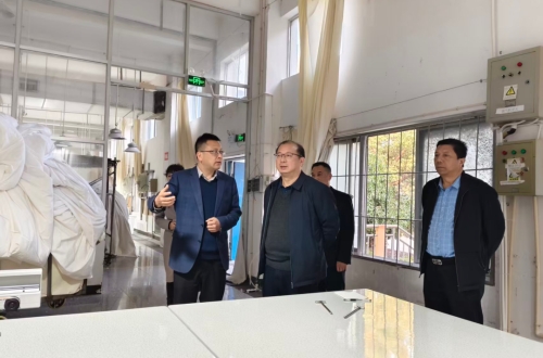 市政协领导莅临公司调研指导