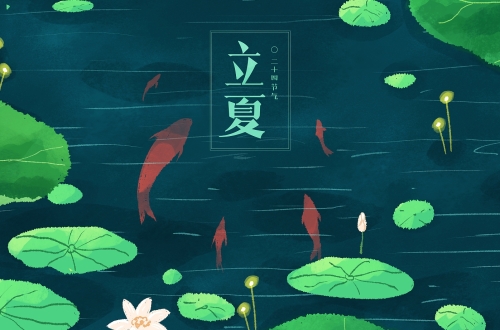 立夏｜轻盈如羽度长夏