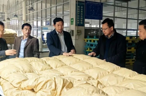 市非公党建指导组莅临公司调研指导