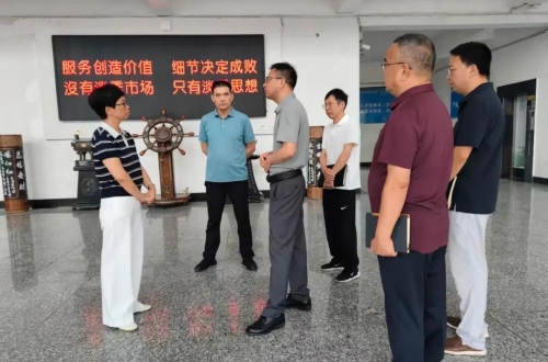 桐城市政府市长王静莅临公司走访调研