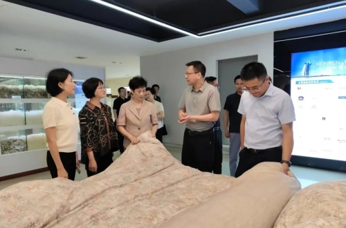 安庆市人大科技创新与产业创新融合发展及开放平台高质量发展座谈会在我司召开